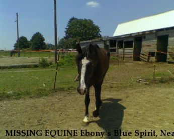 MISSING EQUINE Ebony`s Blue Spirit, Near Spring Grove, PA, 17362